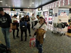 -日上免税行(浦东机场五店)