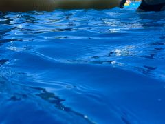 -杭州浪浪浪水公园