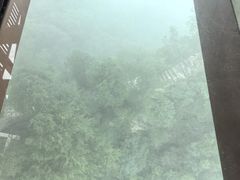 -少华山国家森林公园