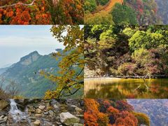 -少华山国家森林公园