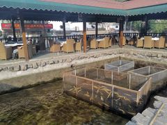 -京北渔家傲