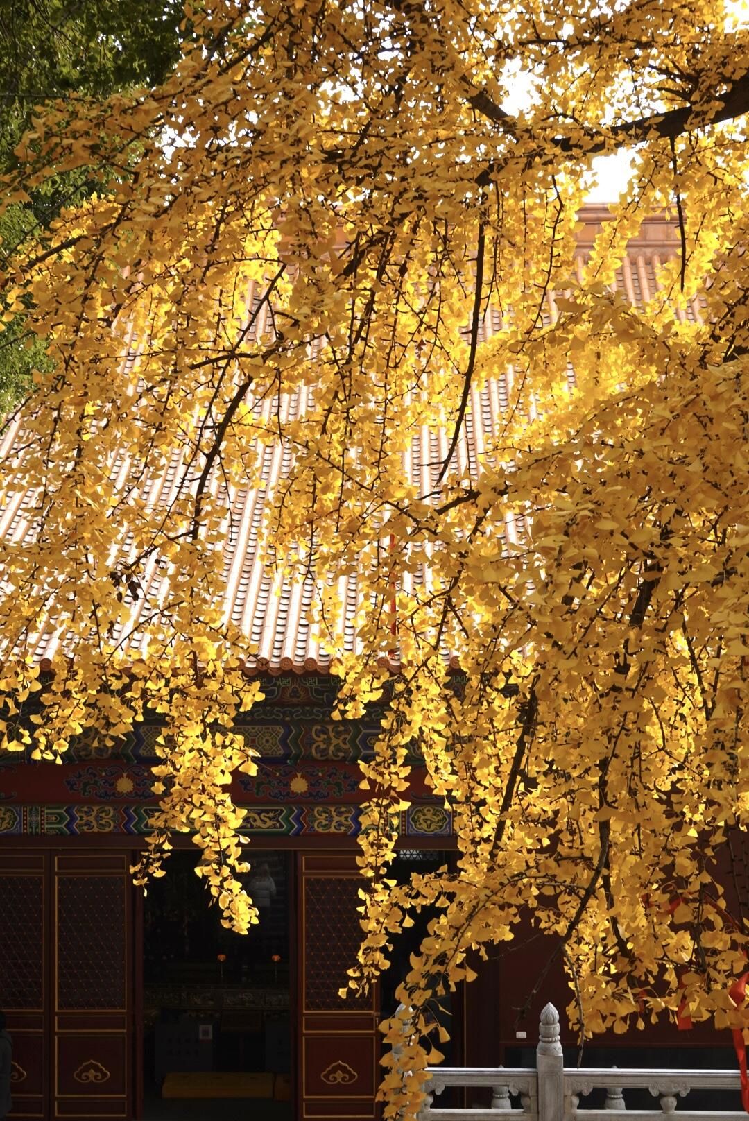 武汉宝通寺超度-武汉宝通寺和归元禅寺