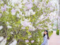 -山东大学(兴隆山校区)