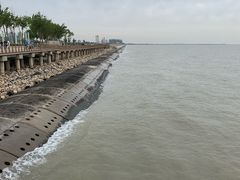 -东疆建设开发纪念公园