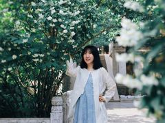 -潭柘寺景区