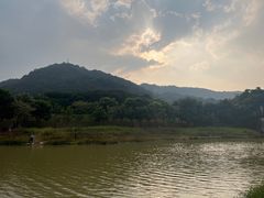 -风云岭森林公园