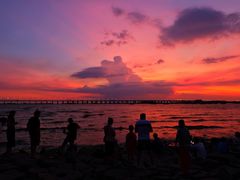 -宝安西湾红树林湿地公园