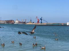 -海驴岛(荣成市)