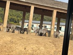 -杭州野生动物世界