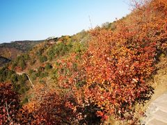 -香山公园