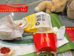 -麦当劳(北京大兴机场二层国内到达(安检外)店)