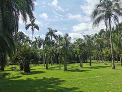 -中国科学院西双版纳热带植物园