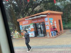 -野狸岛
