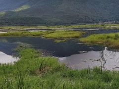 -腾冲北海湿地