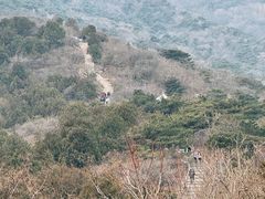 -北京西山国家森林公园