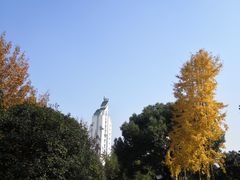 -大渡口区义渡公园