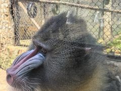 -云南野生动物园