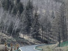 -塞罕坝国家级自然保护区