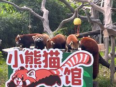 -广州动物园