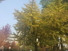 -辽宁大学(崇山校区)
