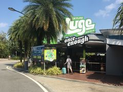 -圣淘沙天际线斜坡滑车