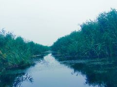 -白洋淀景区
