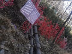 -沕沕水生态风景区