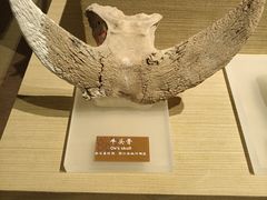 -中国农业博物馆