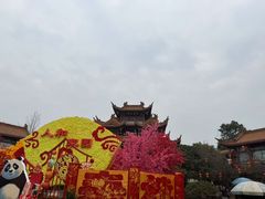 -富乐山