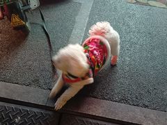 -东北酱骨头馆(蓁巷店)