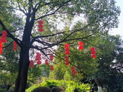-海珠湖公园
