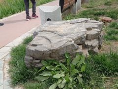 -水西公园