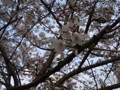 -祥源·阜阳生态乐园