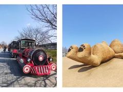 -上海辰山植物园
