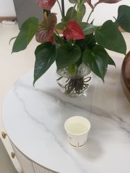 -薇兰专业脱毛连锁机构