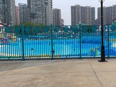 -海合安成都极地海洋公园