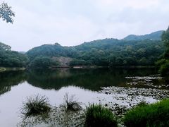 -广州市石门国家森林公园