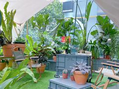 -PlantsEatery·植物食堂(REX春熙店)