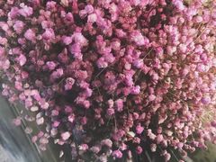 -1Cake壹刻蛋糕(奥体公园味觉艺术馆店)