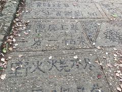 -田园小观园(武大店)