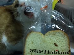 -好利来(永安道店)