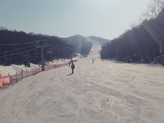-东北亚滑雪场