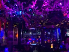 -周庄红庭演艺酒吧