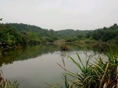 小湖湾-池州市平天湖风景区