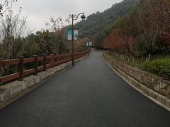 -杭州半山国家森林公园