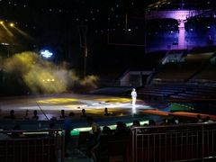 -灵玲国际马戏城