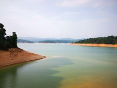 -广州市流溪河国家森林公园