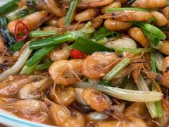 -遇龙河大樟树农家乐