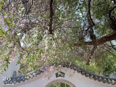 -深圳国际园林花卉博览园