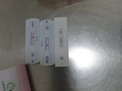 -汪喵宠物医院·骨科心脏影像·犬猫急重症ICU诊疗中心(成华分院)